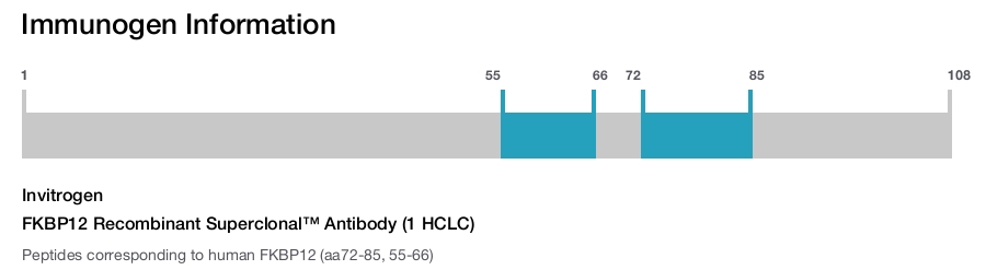 FKBP12 Recombinant Superclonal™ Antibody (1 HCLC)