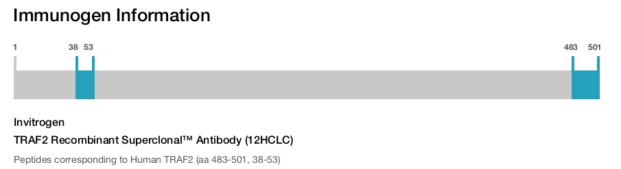 TRAF2 Recombinant Superclonal™ Antibody (12HCLC)