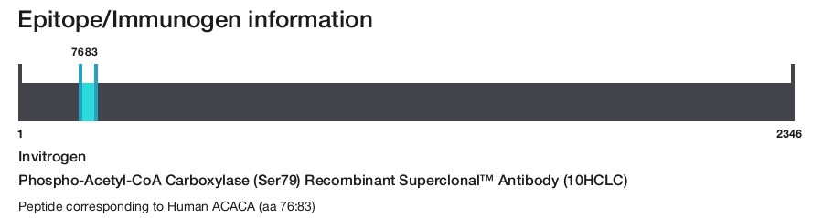 Phospho-Acetyl-CoA Carboxylase (Ser79) Recombinant Superclonal&trade; Antibody (10HCLC)