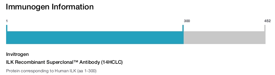 ILK Recombinant Superclonal™ Antibody (14HCLC)