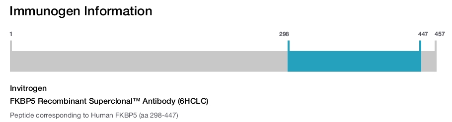 FKBP5 Recombinant Superclonal&trade; Antibody (6HCLC)
