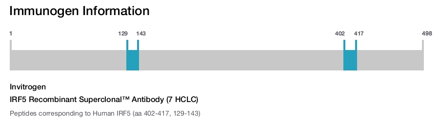 IRF5 Recombinant Superclonal™ Antibody (7 HCLC)