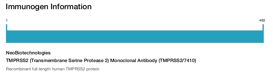 TMPRSS2 (Transmembrane Serine Protease 2) Monoclonal Antibody (TMPRSS2/7410)