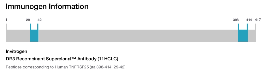 DR3 Recombinant Superclonal&trade; Antibody (11HCLC)