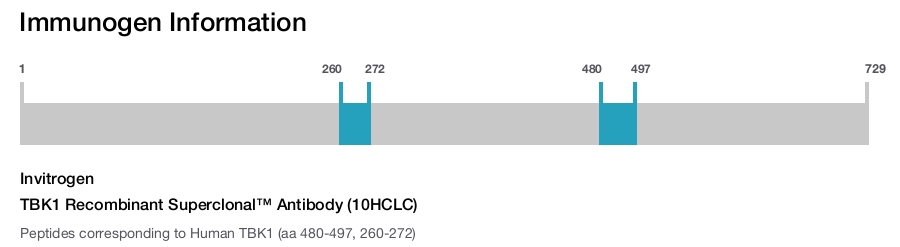 TBK1 Recombinant Superclonal™ Antibody (10HCLC)