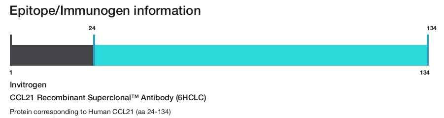 CCL21 Recombinant Superclonal&trade; Antibody (6HCLC)