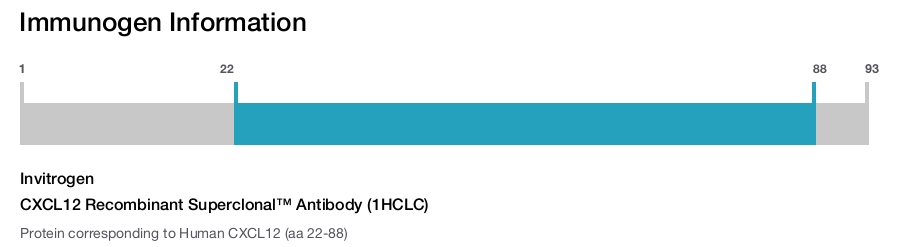 CXCL12 Recombinant Superclonal™ Antibody (1HCLC)