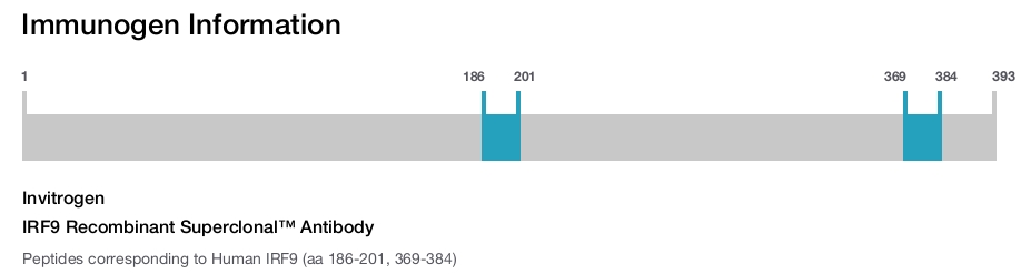 IRF9 Recombinant Superclonal™ Antibody