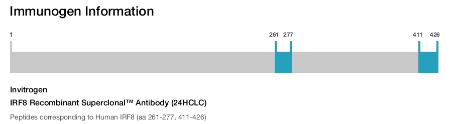 IRF8 Recombinant Superclonal™ Antibody (24HCLC)