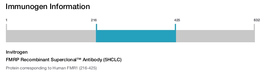 FMRP Recombinant Superclonal™ Antibody (5HCLC)
