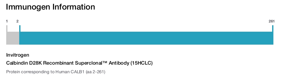Calbindin D28K Recombinant Superclonal™ Antibody (15HCLC)