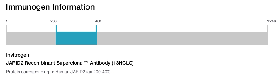 JARID2 Recombinant Superclonal™ Antibody (13HCLC)