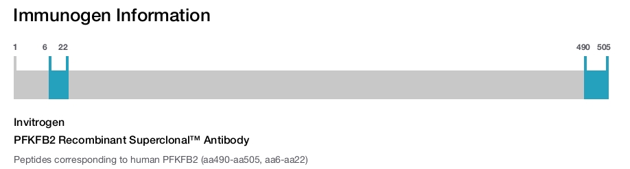 PFKFB2 Recombinant Superclonal&trade; Antibody
