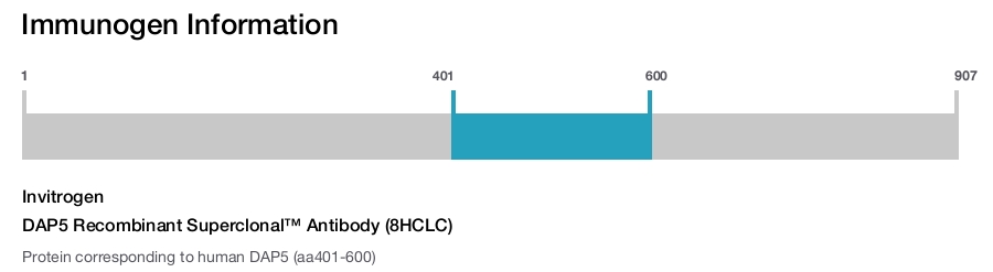 DAP5 Recombinant Superclonal™ Antibody (8HCLC)