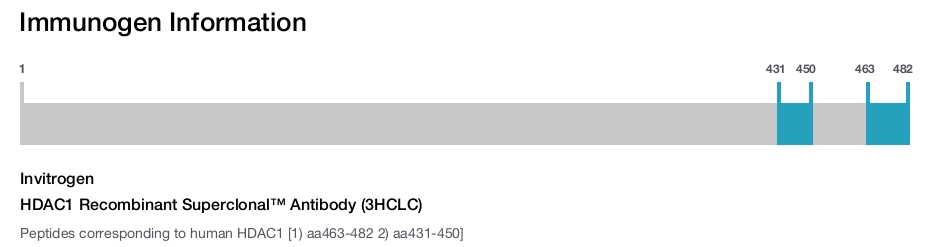 HDAC1 Recombinant Superclonal™ Antibody (3HCLC)