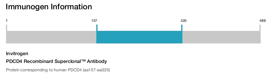 PDCD4 Recombinant Superclonal&trade; Antibody