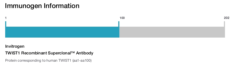 TWIST1 Recombinant Superclonal™ Antibody