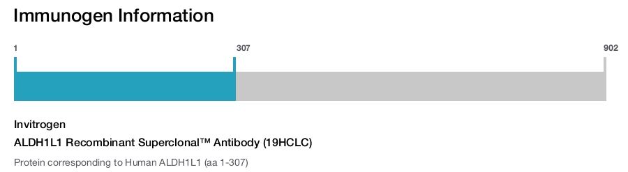 ALDH1L1 Recombinant Superclonal™ Antibody (19HCLC)