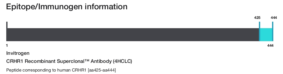 CRHR1 Recombinant Superclonal&trade; Antibody (4HCLC)