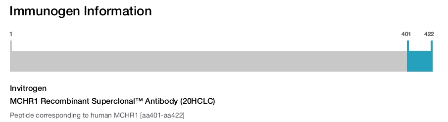MCHR1 Recombinant Superclonal™ Antibody (20HCLC)