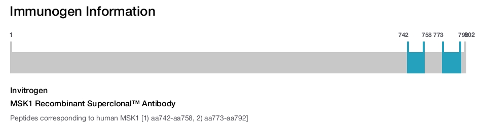 MSK1 Recombinant Superclonal™ Antibody