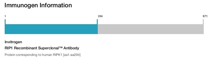 RIP1 Recombinant Superclonal™ Antibody
