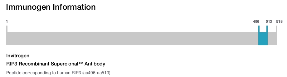 RIP3 Recombinant Superclonal™ Antibody
