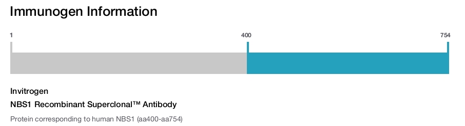 NBS1 Recombinant Superclonal™ Antibody