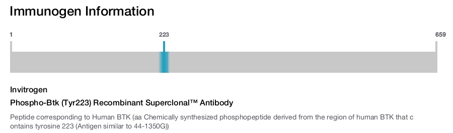 Phospho-Btk (Tyr223) Recombinant Superclonal™ Antibody