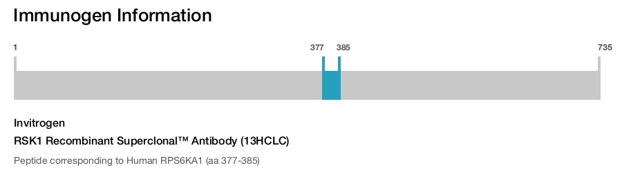 RSK1 Recombinant Superclonal&trade; Antibody (13HCLC)