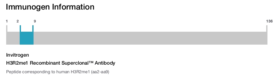 H3R2me1 Recombinant Superclonal™ Antibody