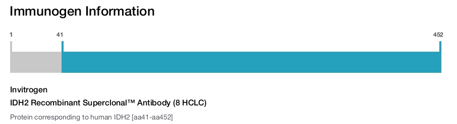 IDH2 Recombinant Superclonal™ Antibody (8 HCLC)