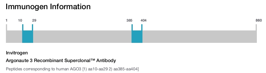 Argonaute 3 Recombinant Superclonal™ Antibody