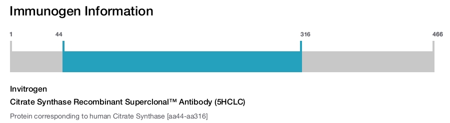Citrate Synthase Recombinant Superclonal™ Antibody (5HCLC)