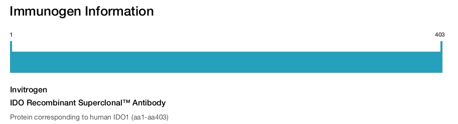 IDO Recombinant Superclonal™ Antibody