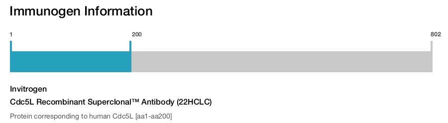 Cdc5L Recombinant Superclonal&trade; Antibody (22HCLC)