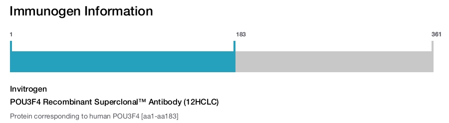 POU3F4 Recombinant Superclonal™ Antibody (12HCLC)