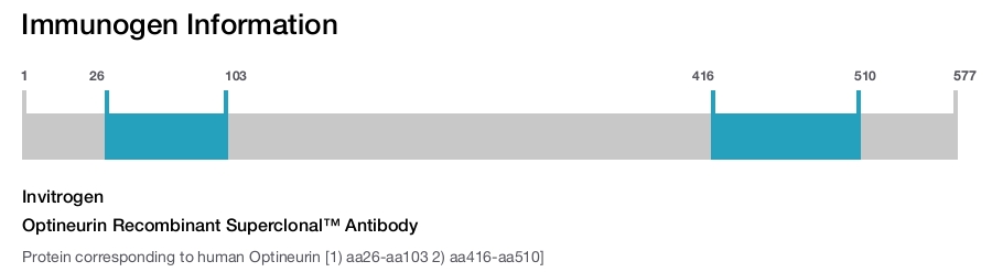 Optineurin Recombinant Superclonal™ Antibody