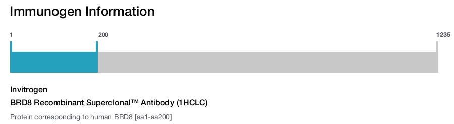 BRD8 Recombinant Superclonal™ Antibody (1HCLC)