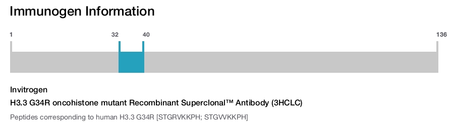 H3.3 G34R oncohistone mutant Recombinant Superclonal&trade; Antibody (3HCLC)