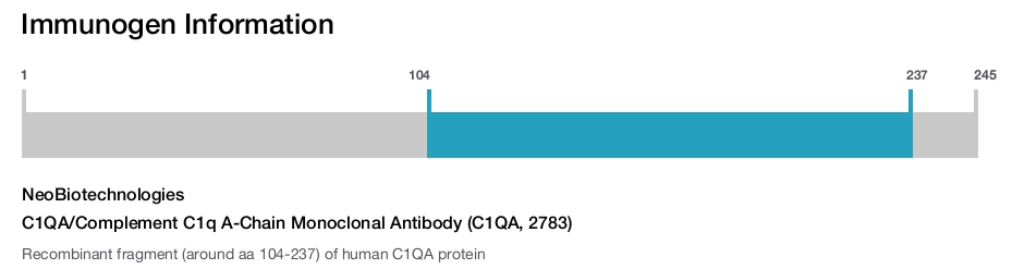 C1QA/Complement C1q A-Chain Monoclonal Antibody (C1QA, 2783)