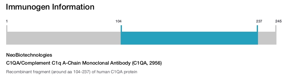 C1QA/Complement C1q A-Chain Monoclonal Antibody (C1QA, 2956)
