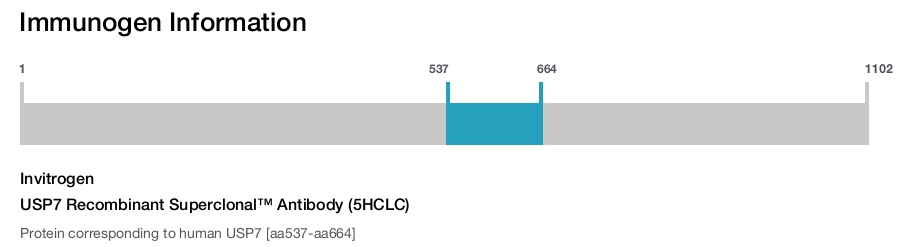 USP7 Recombinant Superclonal™ Antibody (5HCLC)