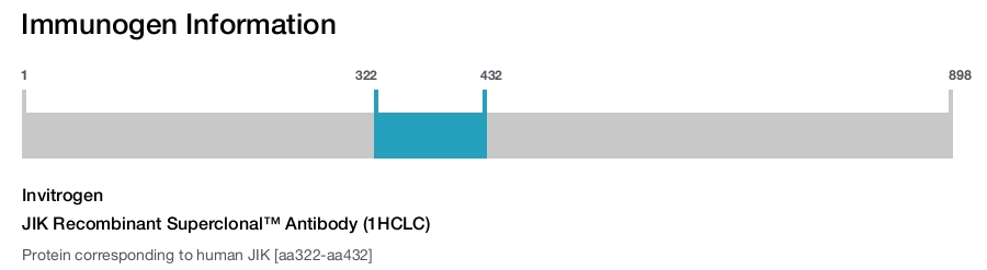 JIK Recombinant Superclonal™ Antibody (1HCLC)