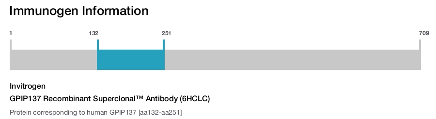 GPIP137 Recombinant Superclonal™ Antibody (6HCLC)