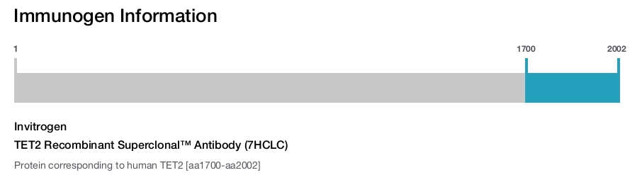 TET2 Recombinant Superclonal™ Antibody (7HCLC)