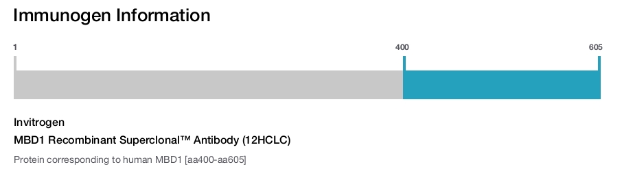 MBD1 Recombinant Superclonal™ Antibody (12HCLC)