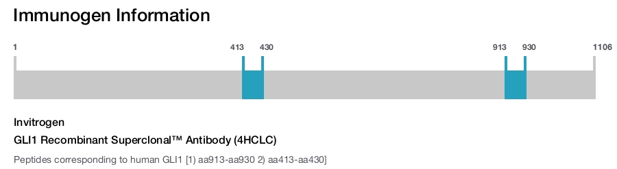 GLI1 Recombinant Superclonal™ Antibody (4HCLC)