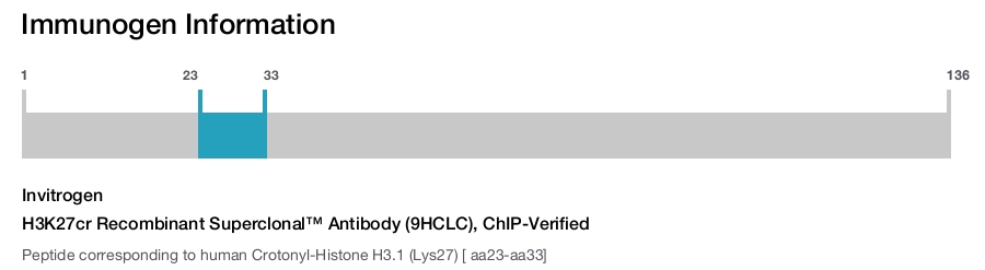 H3K27cr Recombinant Superclonal™ Antibody (9HCLC), ChIP-Verified