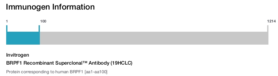 BRPF1 Recombinant Superclonal&trade; Antibody (19HCLC)